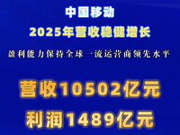 �Ї��Ƅ�2025��I�շ�(w��n)�����L��ӯ����������ȫ��һ���\�I���I��ˮƽ