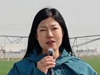 ����(sh��)�Ǻ��� �����ԭ���������|(zh��)���a(ch��n)�����}̽�L